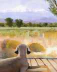 stoic dog book