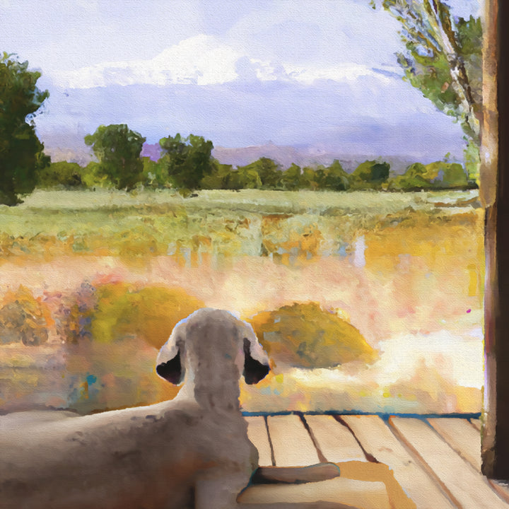 stoic dog book